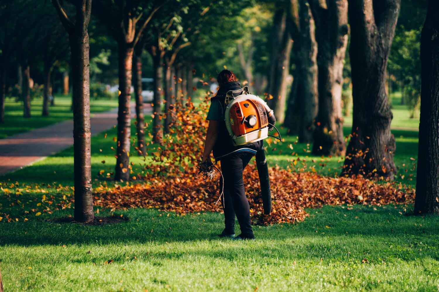 Best Tree Trimming and Pruning  in USA